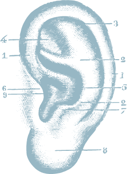 Renal Dialysis 1 ear